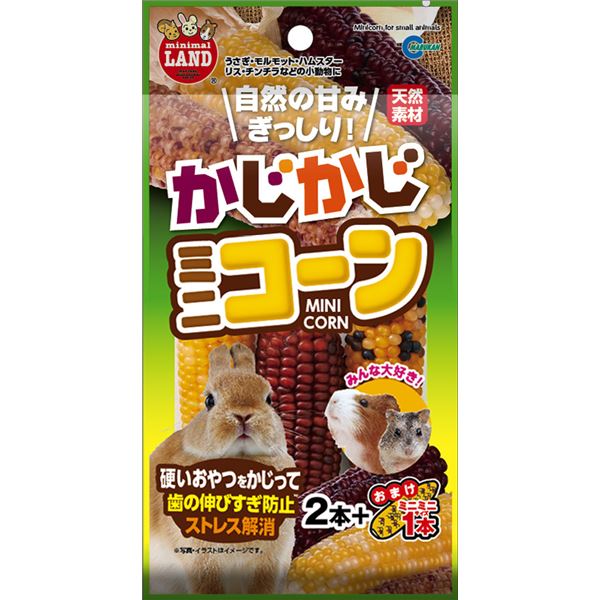 【ポイント20倍】（まとめ）マルカン かじかじミニコーン 2本+おまけ1本 小動物用おやつ 【×5セット】