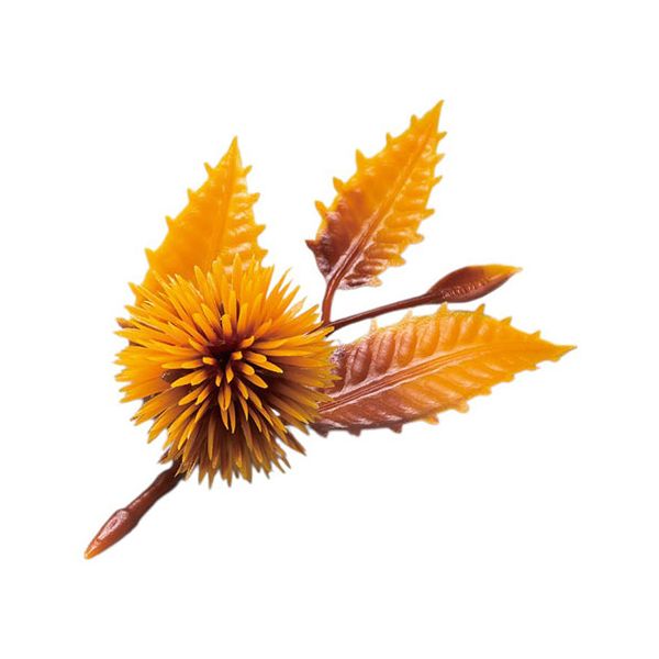 【マラソンでP最大49倍】ヤマコー 用美 業務用 四季の花ごよみ 栗 (茶) (200個入) yamaco64332