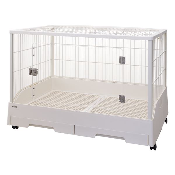 【尖んがり20倍】せつ然たる向こう正面80（愛玩動物装具）