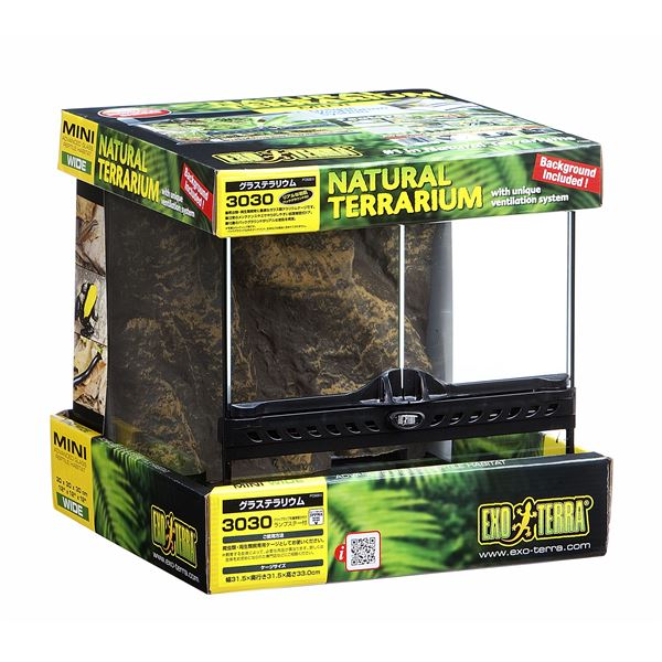 楽天市場】【2/4 20時〜エントリーP5倍実施☆〜2/9まで】GEX グラス