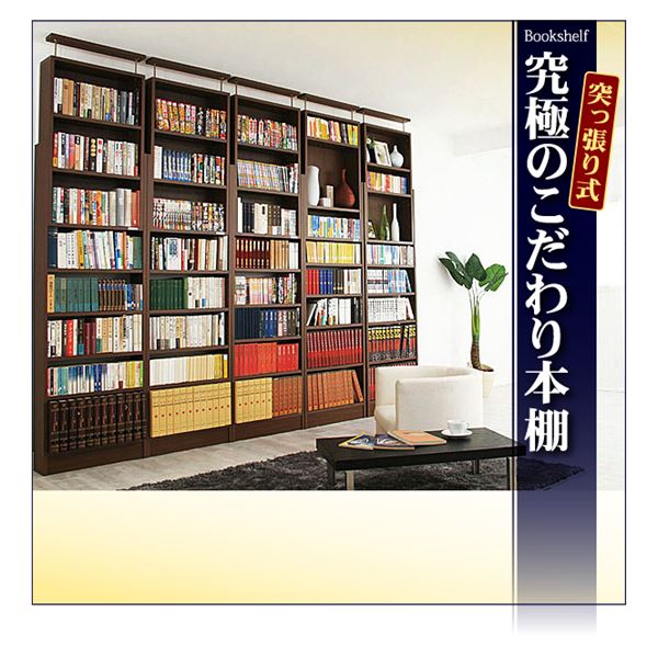 (専用オプション品) 天井つっぱり本棚愛書家専用 下部本体大型本用棚板 日本製