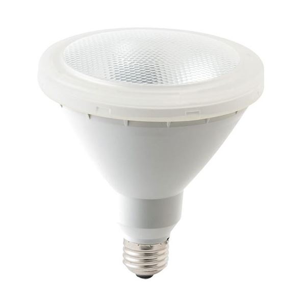 【マラソンでP最大49倍】東京メタル工業 LED電球 屋外用ビームランプ 昼白色 100W相当 口金E26 LDR9N100W-T2