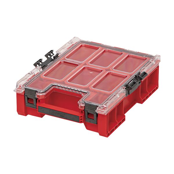 【尖んがり20倍】QBRICK 正六面体リック QS1 まとめ役MPlus2.0 赤 ORGQMP2CZEPG003