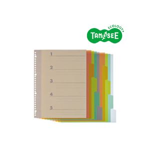 【尖んがり20倍】（まとめ）TANOSEE 総目録（PP） A4タテ 4・30穴 5山2組 20風呂敷き包み