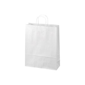 【クーポン券別れ別れ中＆百貨店SALE客体】（まとめ）ジョインテックス 合切袋袋 丸紐 白 大 50枚 B289J-W【×4仕掛ける】