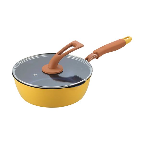 一条もんこ カレーパンガラス蓋付24cm 煮るにも焼くにも使いやすい絶妙な深さのフライパン オリジナルレシピ付 B1107547
