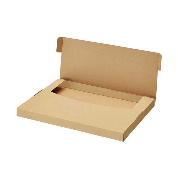 【マラソンでP最大49倍】小物用ダンボール箱 A4 厚さ2.5cm 20枚入り