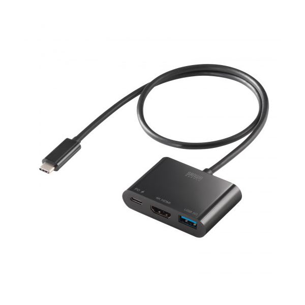 【尖んがり20倍】サンワサプライ USB Type C-HDMI取り替えっこアダプター 4K/PD相応う/USBこしき付き添い人 AD-ALCPHDPD02