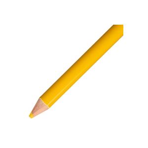 【ポイント20倍】（まとめ）トンボ鉛筆 色鉛筆 単色 12本入 1500-04 山吹 【×5セット】