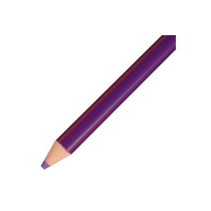 【ポイント20倍】（まとめ）トンボ鉛筆 色鉛筆 単色 12本入 1500-19 すみれ 【×5セット】