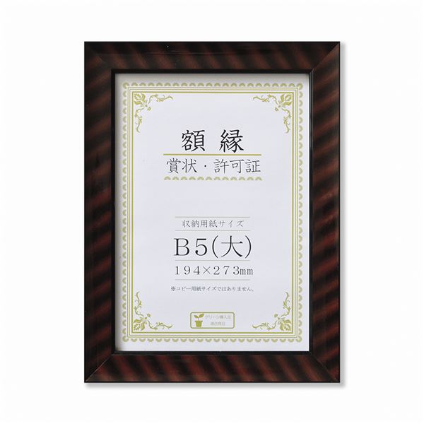 【ポイント20倍】樹脂製 賞状額 金ラック R 箱入 B5 大 収納寸法：194×273mm 賞状 額 表彰状 卒業証書 免許書 許可証 額縁 フレーム