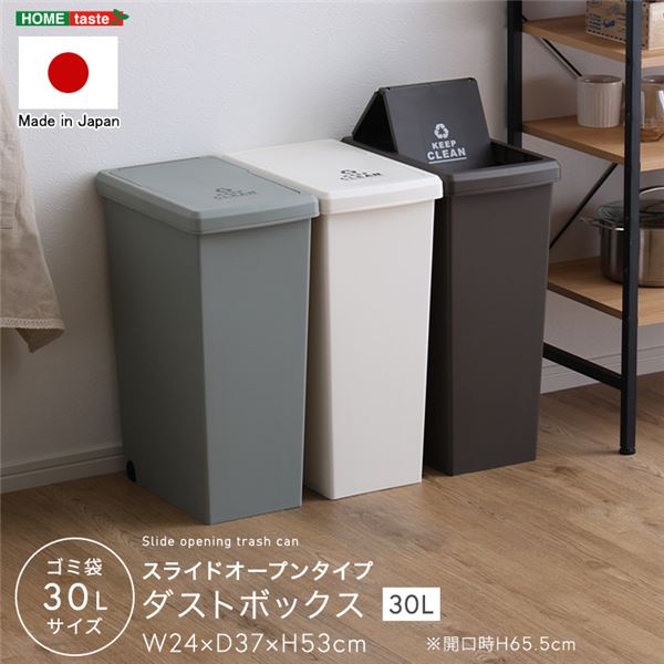 【ポイント20倍】スライドオープンタイプ ゴミ箱30L ホワイト【代引不可】|インテリアの壱番館