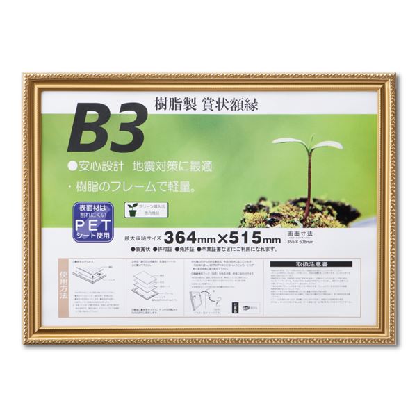 【ポイント20倍】樹脂製 金色賞状額 金消 R SP B3 収納寸法：364×515mm 賞状 額 表彰状 卒業証書 免許書 許可証 額縁 フレーム