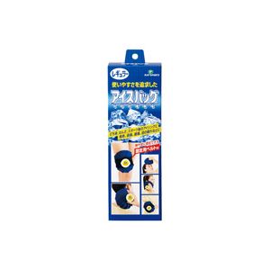 【クーポン配布中＆マラソン対象】（まとめ）ピップフジモト アイスバッグ PS161 レギュラー【×3セット】