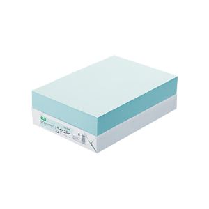 【尖んがり20倍】（まとめ） TANOSEE αエコ色合い調査報告II A4 ともし火青色 1冊（500枚） 【×5仕掛ける】 パソコン・周辺機器-その他