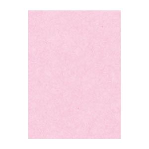 【ポイント20倍】（まとめ） 文運堂 ニューカラーR 四ツ切 横392×縦542mm 4NCR-218 さくら 100枚入 【×2セット】