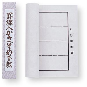 【尖んがり20倍】(まとめ)アーテック 罫線入下敷 標準尺度三枚判 【×5仕かける】