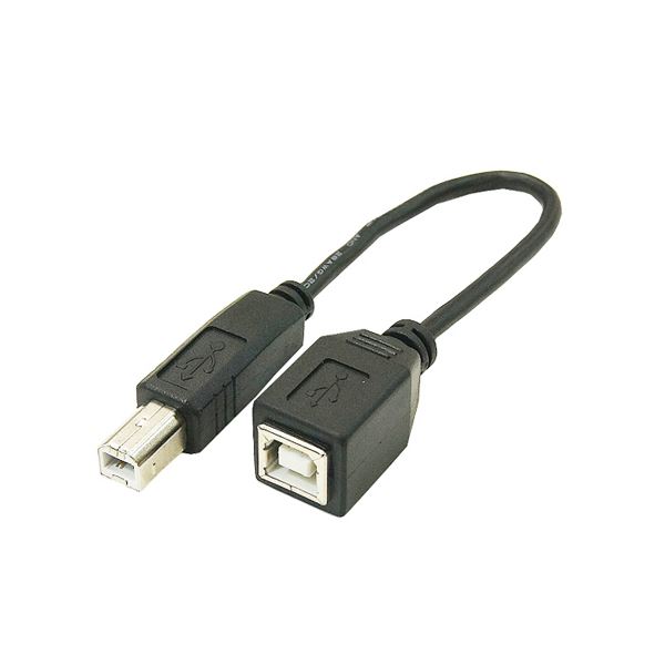 【尖んがり20倍】(まとめ)うつり変わりはやりっ子 USB有線テレビ20糎 B(牡) to B(刃針) USBBA-BB20【×10仕掛ける】