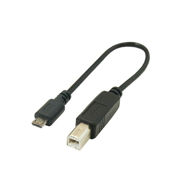 【尖んがり20倍】(まとめ)うつり変わりはやりっ子 USB有線テレビ20糎 B(牡) to microo(牡) USBBA-MCA20【×10仕掛ける】
