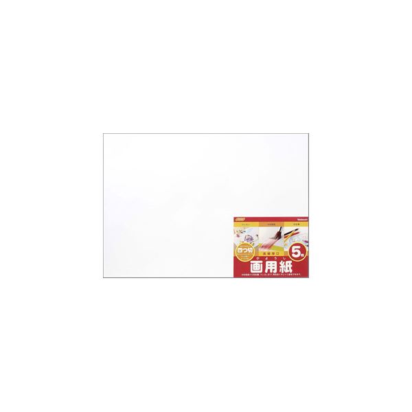 【クーポン配布中】(業務用セット)ナカバヤシ 画用紙四ツ切 SD-カ-102【×20セット】
