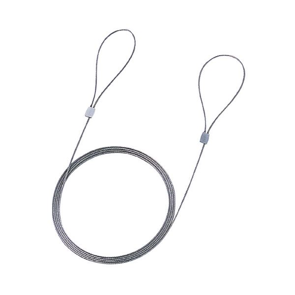 【ポイント20倍】(まとめ)サンワサプライ eセキュリティ(ワイヤー、1.5m・1.0mm) SLE-2W【×10セット】