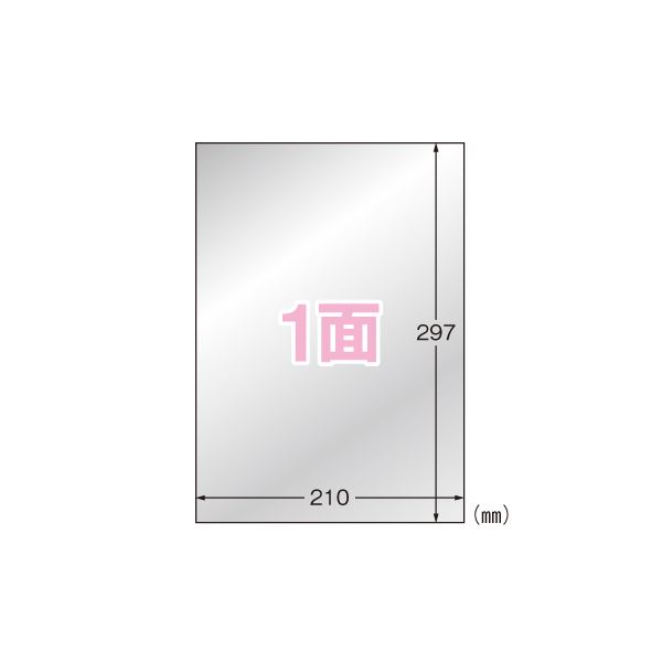 【ポイント20倍】（まとめ） エーワン 屋外でも使えるサインラベルシール ツヤ消しフィルム・シルバー 31035 10枚入 【×2セット】
