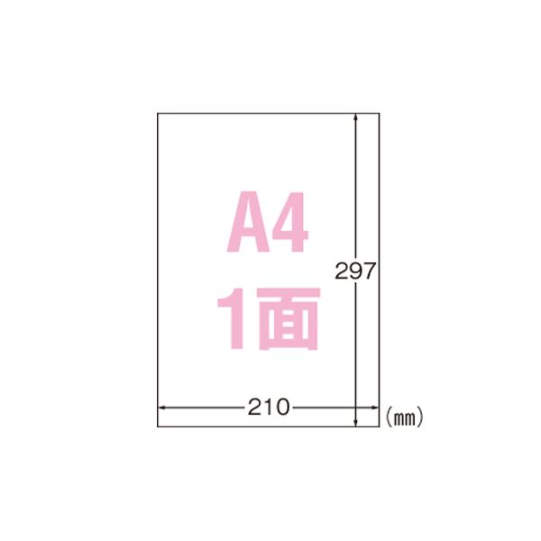 【ポイント20倍】（まとめ） エーワン 屋外でも使えるサインラベルシール ツヤ消しフィルム・透明 31036 10枚入 【×2セット】