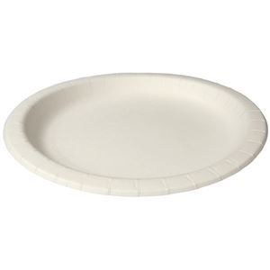【ポイント20倍】(まとめ) ペーパーウエア ナチュラルパルププレート 17cm NP-17 1パック(100枚) 【×4セット】