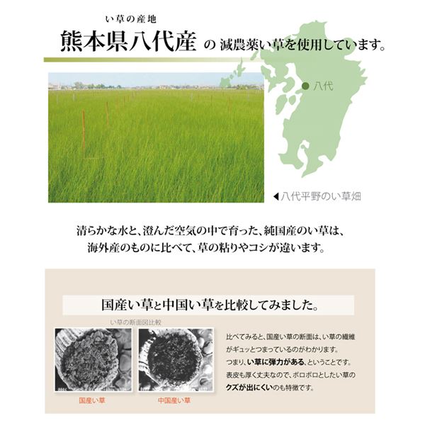 最大62％オフ！ い草 上敷き ラグマット 抗菌防臭 調湿機能 日本製 減