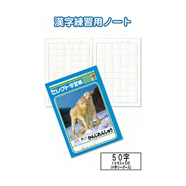 【ポイント20倍】学習帳K-43かんじれんしゅう50字 【10個セット】 31-380