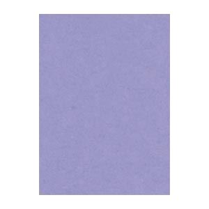 【ポイント20倍】（まとめ） 文運堂 ニューカラーR 四ツ切 横392×縦542mm 4NCR-217 ふじむらさき 100枚入 【×2セット】