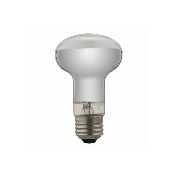【百貨店SALEでP最大限度47倍】(まとめ)YAZAWA 二眼レフ形高温発光照明ランプ RF100V38W【×10仕掛ける】