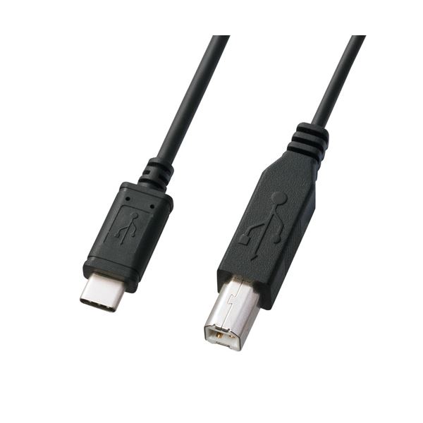 【尖んがり20倍】（まとめ） サンワサプライ USB2.0TypeC-B有線テレビ KU-CB10 【×3仕掛ける】