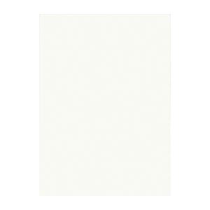 【ポイント20倍】（まとめ） 文運堂 ニューカラーR 四ツ切 横392×縦542mm 4NCR-152 ミルク 100枚入 【×2セット】