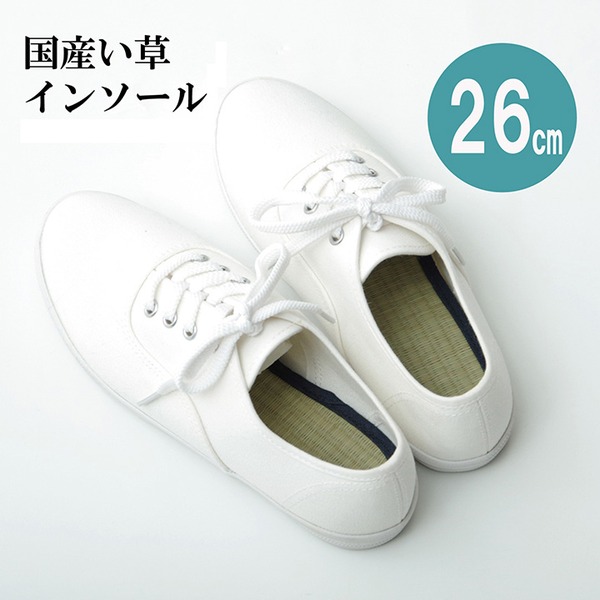 【ポイント20倍】インソール/中敷き 【約26cm】 ネイビー 消臭 日本製 ムレ防止 クッション性 〔靴〕【代引不可】