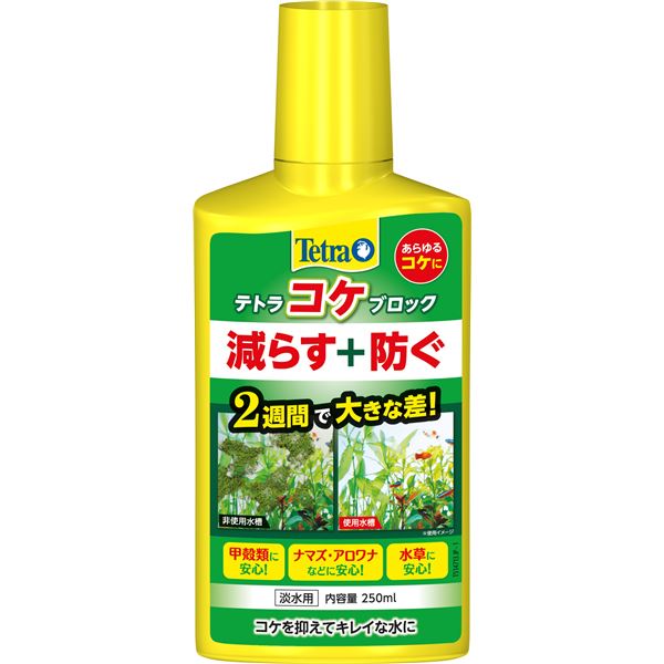 【ポイント20倍】(まとめ)テトラ コケブロック 250ml(ペット用品)【×6セット】|インテリアの壱番館