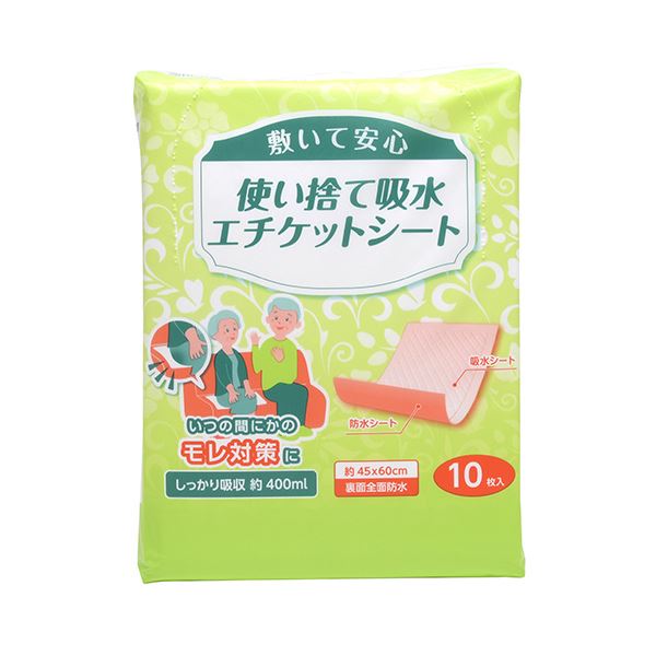 【クーポン配布中】(まとめ)ストリックスデザイン使い捨て吸水エチケットシート SK-001 1パック(10枚)【×10セット】|インテリアの壱番館
