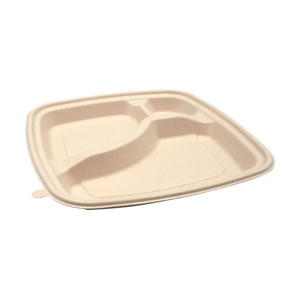 【マラソンでP最大49倍】(まとめ) パックスタイル BB竹バガス弁当 N23-23B ラミ 227×227×高さ25mm 1パック(50枚) 【×3セット】