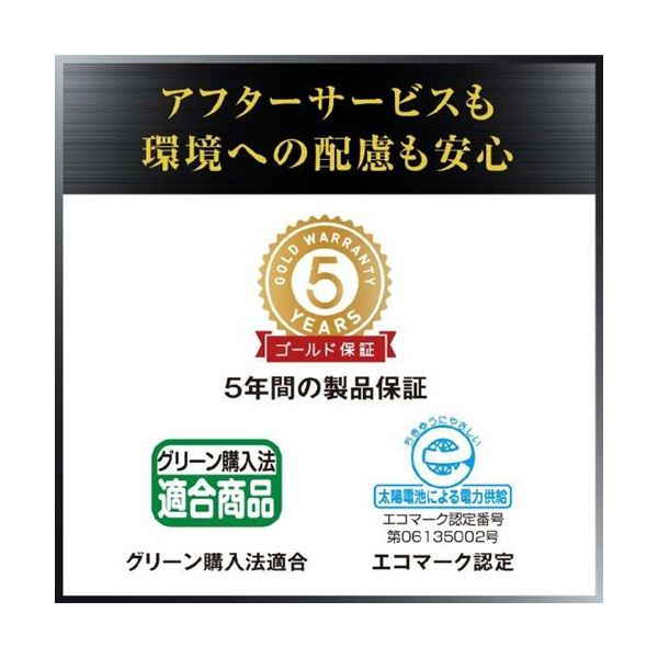 カシオ本格実務電卓日数&時間計算12桁デスクタイプDS-20DC-N1台