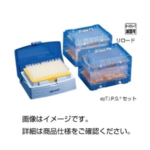 【クーポン配布中＆マラソン対象】（まとめ）エッペンスタンダードチップ 100～5000 入数：100本×5袋【×5セット】