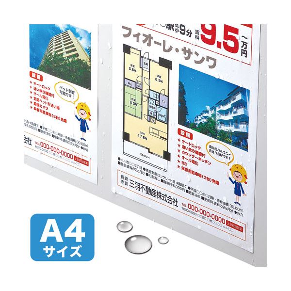 【百貨店SALEでP最大限度47倍】サンワサプライ 色つやレーザ用 耐水紙・判定基準 LBP-WPF12MDPN