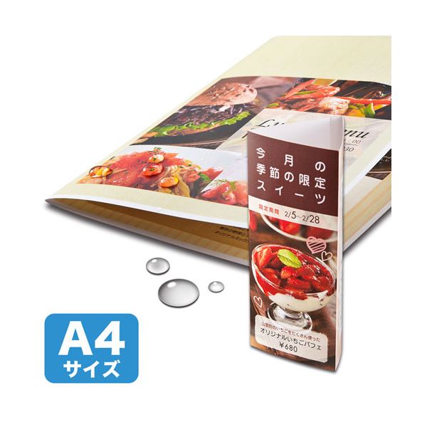 【マラソンでP最大47倍】サンワサプライ カラーレーザー用 耐水紙・特厚 LBP-WPF22MDPN