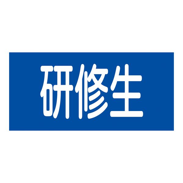 【百貨店SALEでP最大限度47倍】天然ゴム腕飾り 教習生 GW-13M【代引不可】