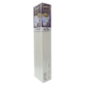 【クーポン配布中＆マラソン対象】〔6個セット〕 風呂ふた 風呂フタ 70cm×120cm用 薄型 折りたたみ式 フラット形 コンパクト 裏面防滑加工 SGマーク認定 浴室