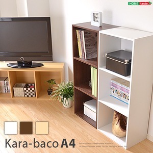 【ポイント20倍】カラーボックス/収納棚 【3段 ブラウン】 ロングタイプ/A4収納可 幅42×奥行き29×高さ105.3cm【代引不可】