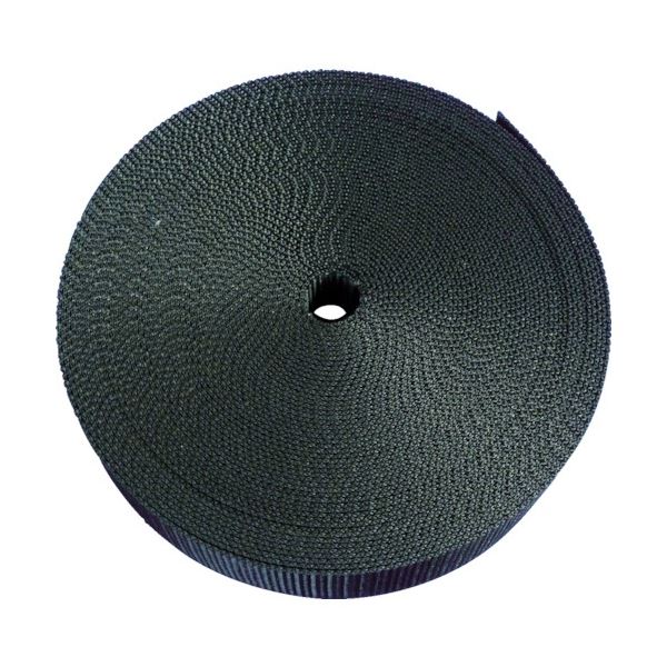 【尖んがり20倍】(まとめ) TRUSCO ナイロン平呼びりん 1.2t×25mm×10m 黒 TNB2510-BK 1巻 【×3仕掛ける】