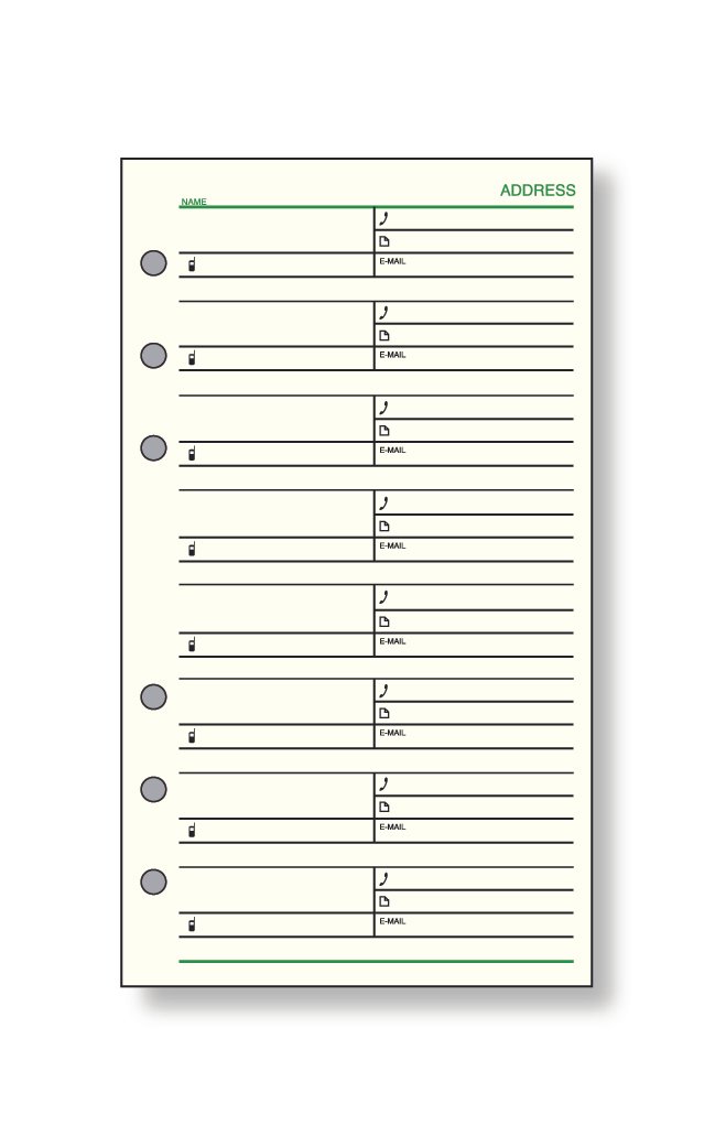 【マラソンでP最大49倍】(まとめ）レイメイ藤井 ダヴィンチ リフィル (聖書) アドレス 1ページ8名 DR306 【×20セット】