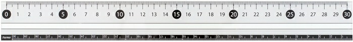 【ポイント20倍】(まとめ)レイメイ藤井 見やすい白黒定規 (30cm) ホワイト APJ281W 【×30セット】