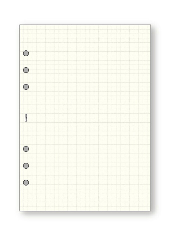 【クーポン配布中＆マラソン対象】(まとめ）レイメイ藤井 ダヴィンチ リフィル (A5) 徳用ノート 5.0mm方眼 DAR4522 【×20セット】 8,603円