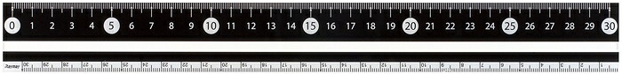 【ポイント20倍】(まとめ）レイメイ藤井 見やすい白黒定規 (30cm) ブラック APJ281B 【×30セット】 9,159円